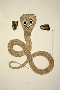 Nagoo, de una Cuenta de Serpientes Indias Recogidas en la Costa de Coromandel, pub. 1796 de William Skelton
